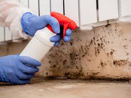 Best Crawl Space Mold Remediation in USA